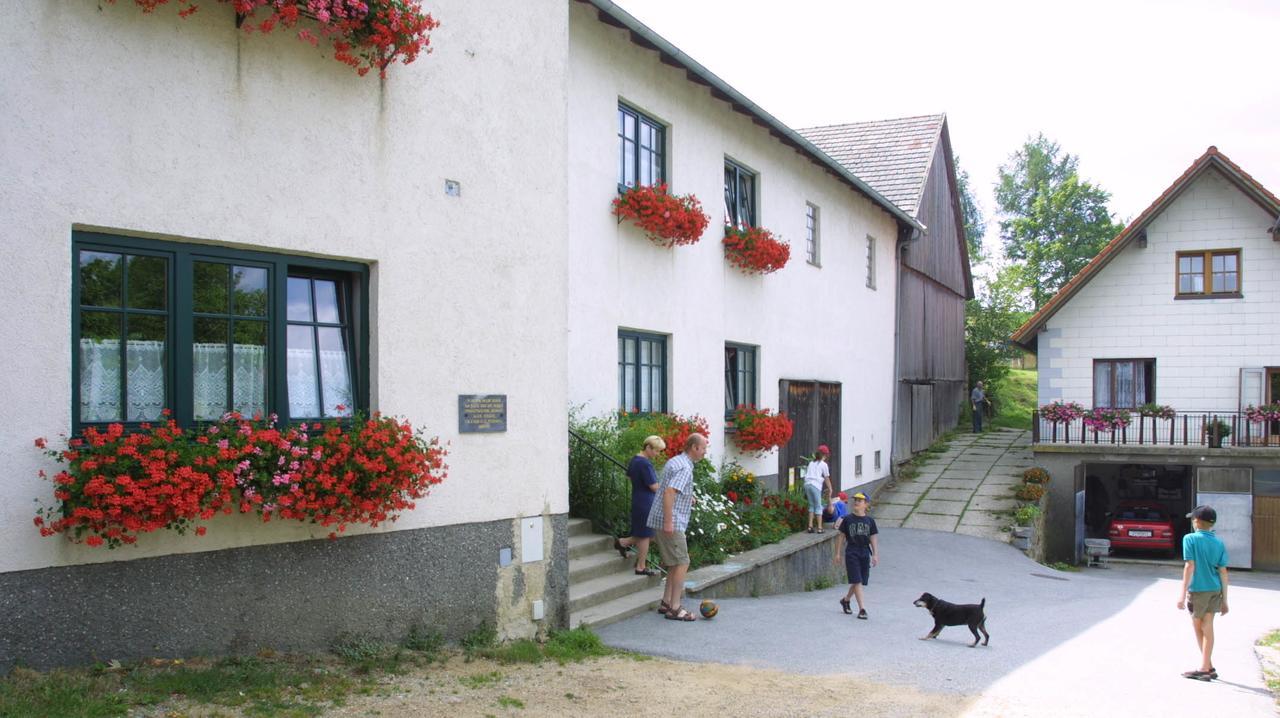 Ferienhof Stanzl Rappottenstein Exterior photo