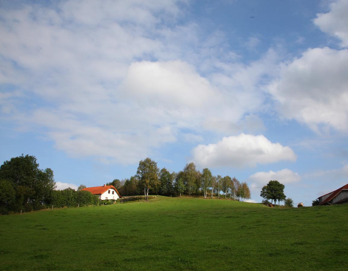 Ferienhof Stanzl Rappottenstein Exterior photo